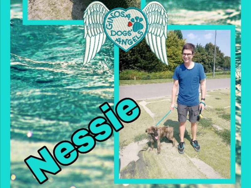 nessie