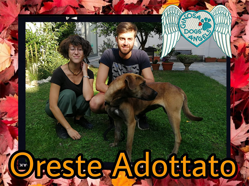 oreste