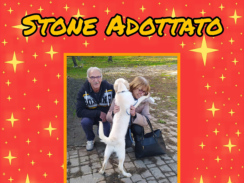 stone