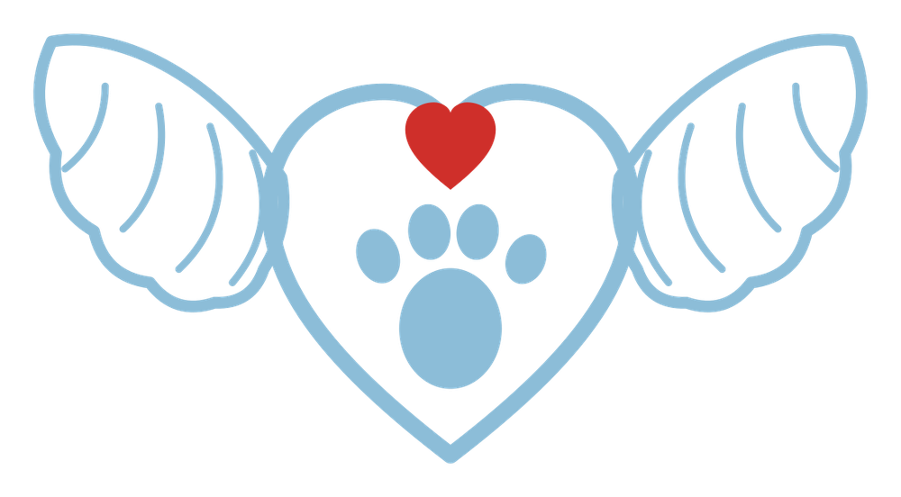 Ginosa – Dogs' Angels